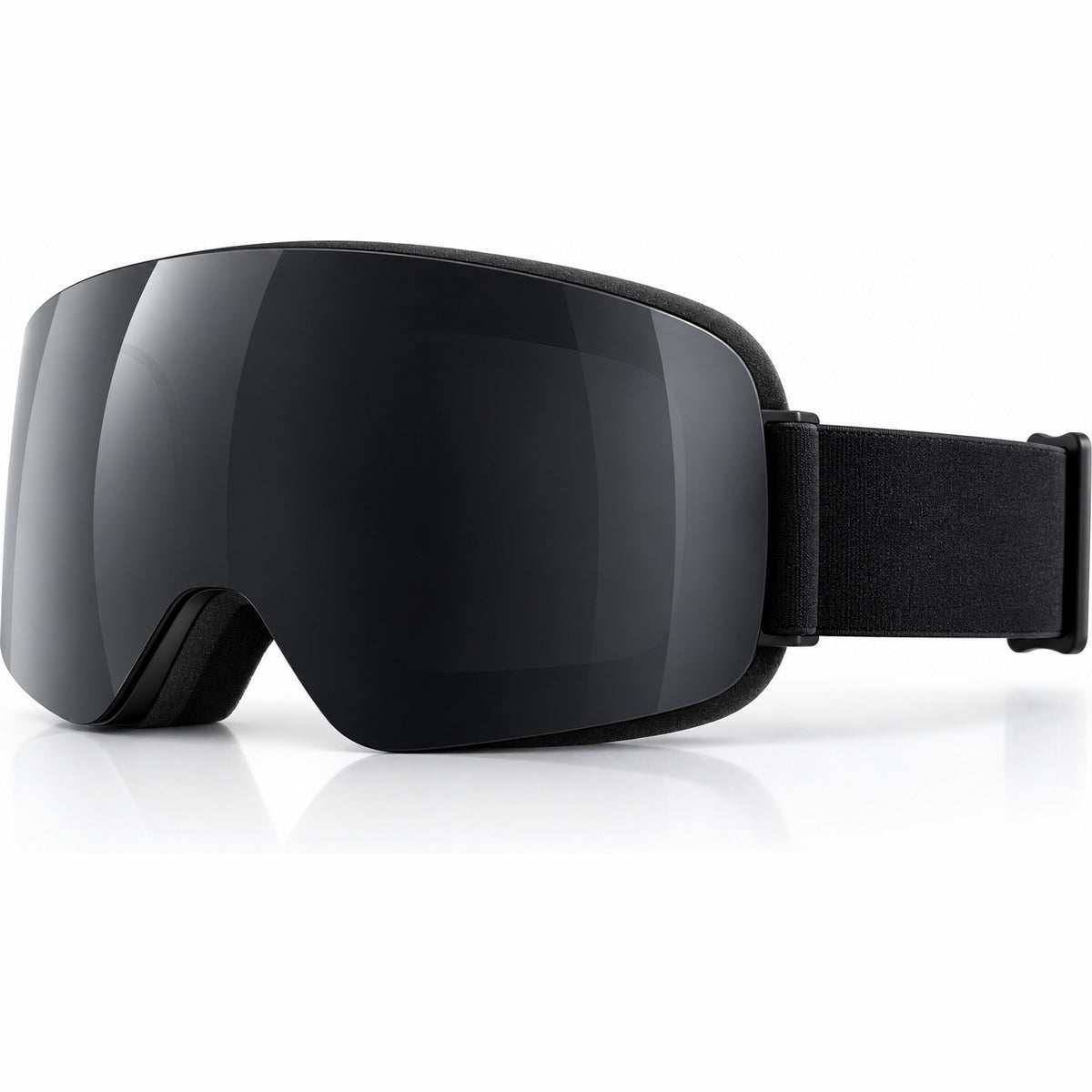 ArcticVision Pro Skibrille in Schwarz mit dunkler Scheibe, Seitenansicht